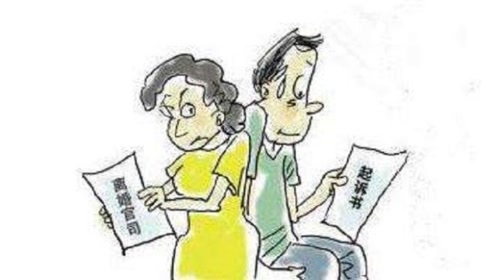 诉讼离婚律师决策解析，离婚案件的判决过程深度探讨