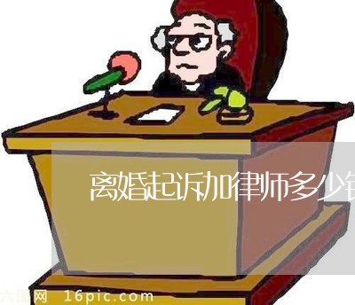 离婚诉讼中的律师代理，全面解析与深度思考