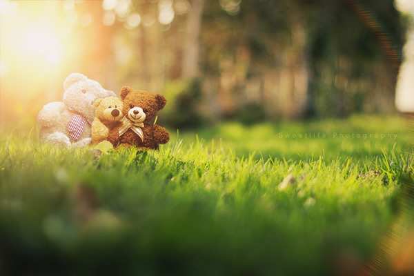 分享温暖瞬间，好友笑颜绽放