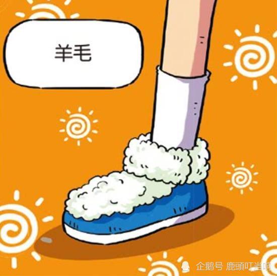 每日新鲜事，为生活增添趣味色彩