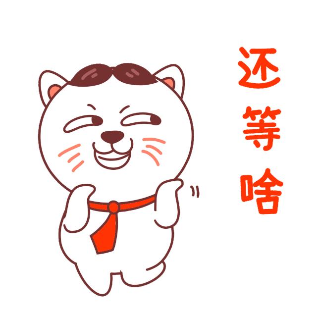 官方WhatsApp功能布局详解