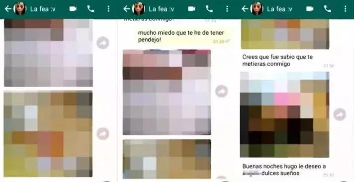 WhatsApp网页版通知提醒管理全面解析